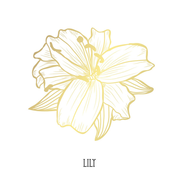Decorative lily flower, design element. Can be used for cards, invitations, banners, posters, print design. Golden flowers - Vetor, Imagem