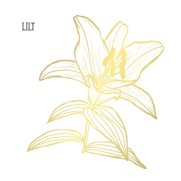 Decorative lily flower, design element. Can be used for cards, invitations, banners, posters, print design. Golden flowers - Vector, Imagen