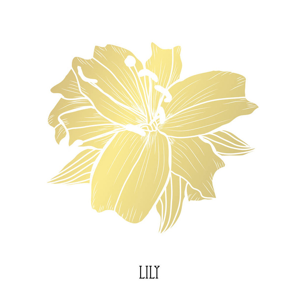 Decorative lily flower, design element. Can be used for cards, invitations, banners, posters, print design. Golden flowers - Vector, Image