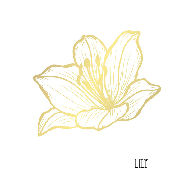 Decorative lily flower, design element. Can be used for cards, invitations, banners, posters, print design. Golden flowers - Vektor, kép
