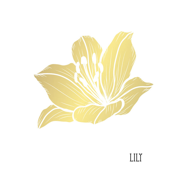 Decorative lily flower, design element. Can be used for cards, invitations, banners, posters, print design. Golden flowers - Wektor, obraz