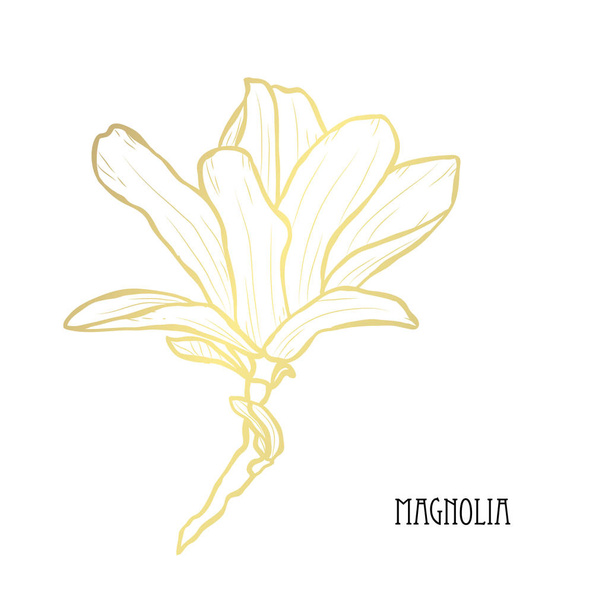 Decorative magnolia flower, design element. Can be used for cards, invitations, banners, posters, print design. Golden flowers - Vetor, Imagem