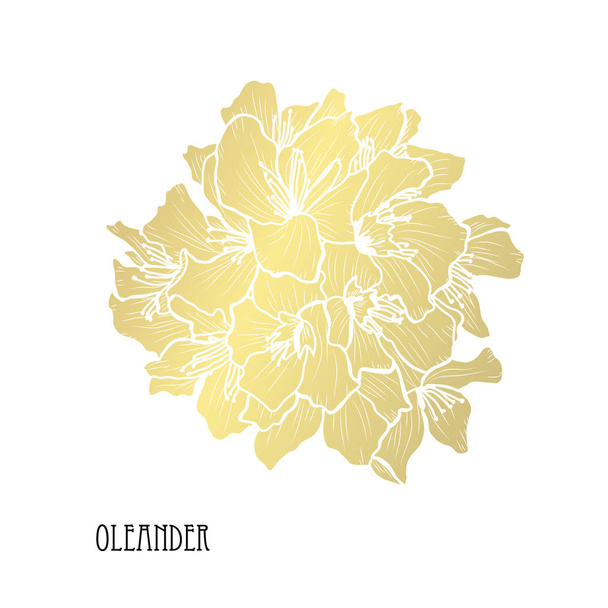 Decorative oleander flowers, design elements. Can be used for cards, invitations, banners, posters, print design. Golden flowers - Vector, Image