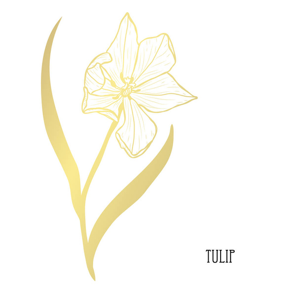 Decorative tulip flower, design element. Can be used for cards, invitations, banners, posters, print design. Golden flowers - Vektör, Görsel