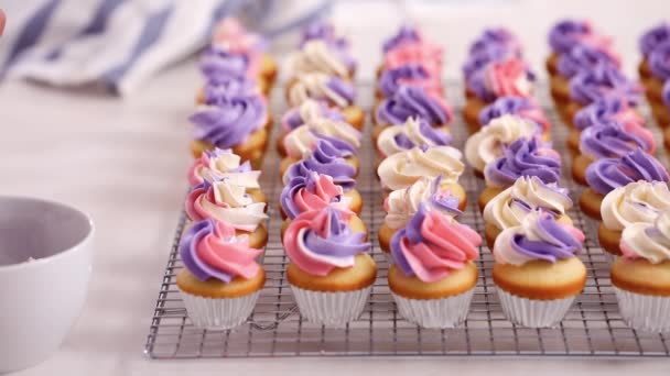 Tubulação rosa e roxo creme de manteiga cobertura em pequenos cupcakes de baunilha
. - Filmagem, Vídeo