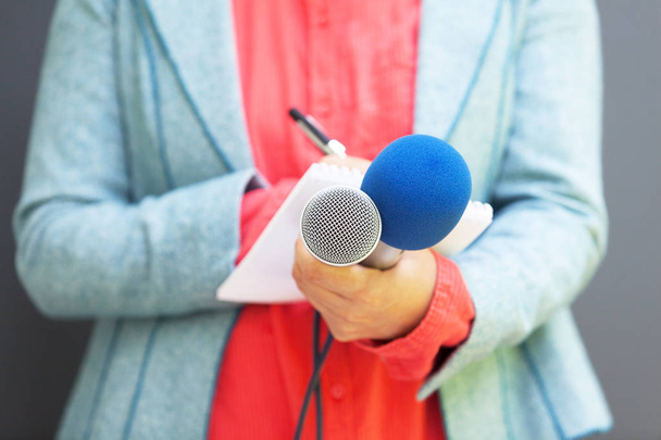 Journaliste féminine lors d'une conférence de presse, écrivant des notes, tenant un microphone - Photo, image