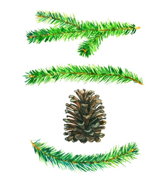 Pine branches and pine cone set, isolated on white watercolor illustration - Photo, Image