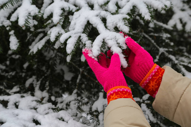 Chica en guantes rojos toca las ramas cubiertas de nieve de abeto
 - Foto, Imagen
