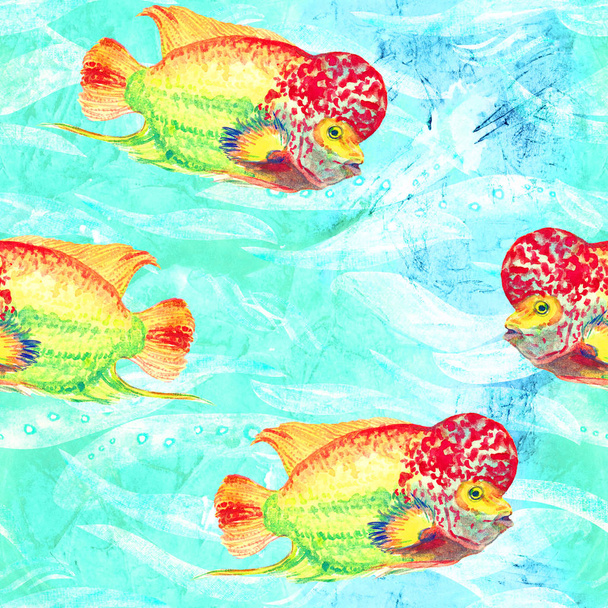 Flowerhorn cichlid fish (Elvis szczep), ręcznie malowane ilustracja akwarela, bezszwowy wzór na turkusowej powierzchni oceanu z fal tła - Zdjęcie, obraz