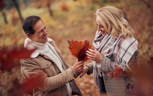 秋の公園を歩いてシニア カップル。魅力的な女性とハンサムな男が一緒に屋外の時間を過ごす - 写真・画像