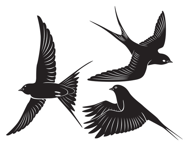 Птичья ласточка
 - Вектор,изображение