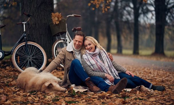 Senior couple walking in park in autumn. Attractive woman and handsome man spending time together with dog golden retriever and bicycles - Foto, Imagem