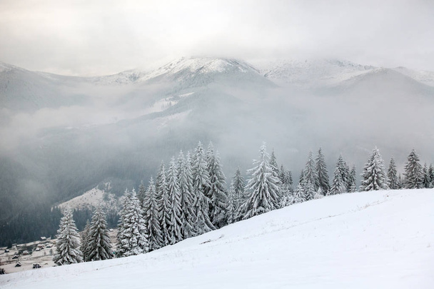 hermosas montañas en invierno. pezazh rural. Árboles cubiertos de nieve. Feliz Año Nuevo
 - Foto, Imagen