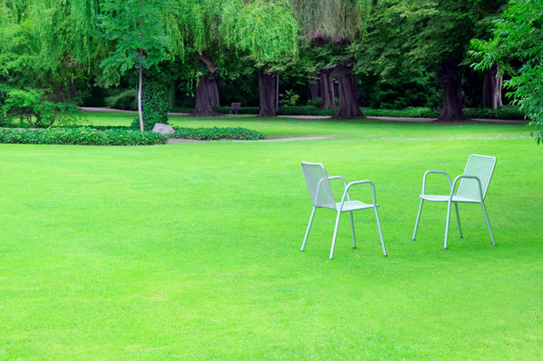 Lounge chairs for relaxing in the summer park - Photo, Image