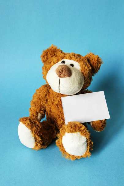 hnědý medvídek držící bílou kartu bez nápisu - Fotografie, Obrázek