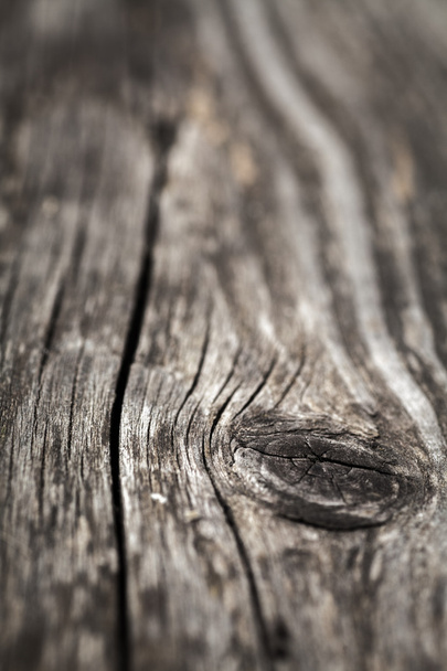 Wooden knot - Фото, зображення