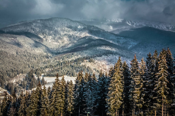 High in the mountains where the snow never melts you can see bright winter sun beams and darkest snow storm clouds in just one shot! Ancient fir trees, shadows of the low dark clouds and sharp snowy wind. - Foto, Imagem