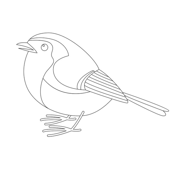 robin bird, vector illustration , lining draw, profile  - Vector, Image