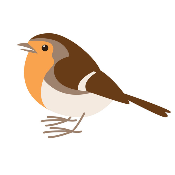 robin bird, vector illustration , flat style, profile  - Vector, Image