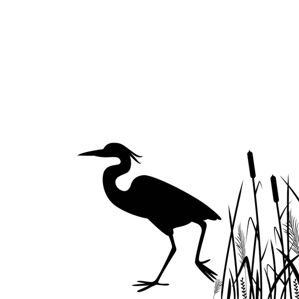 Heron wandelen, vectorillustratie, silhouet - Vector, afbeelding