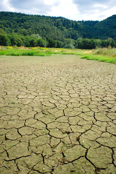 zona húmeda del lago de Aydat en Auvernia, sellada durante el verano
 - Foto, imagen