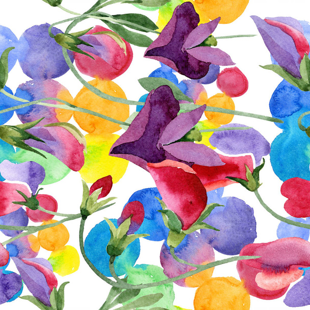 Red sweet pea flower. Watercolor illustration set on white background. Seamless pattern. Fabric wallpaper print texture. - Φωτογραφία, εικόνα