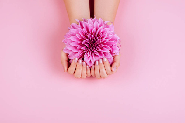 Closeup fingernails with pink fashion manicure, cupped woman beautiful manicured hands holding pink flowers - Foto, Imagem
