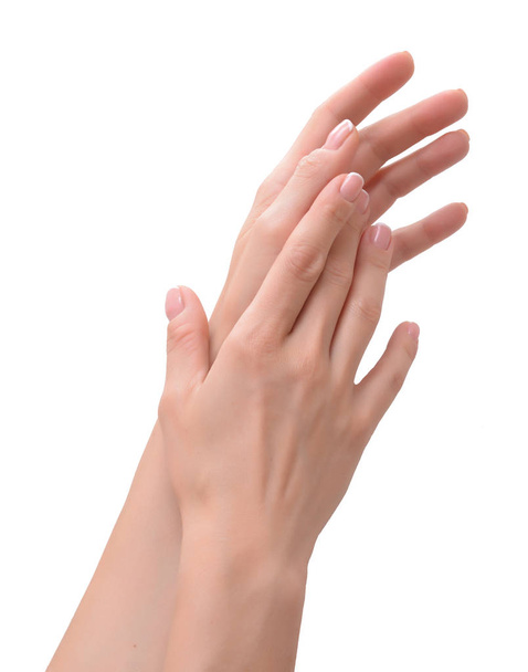 Hermosas manos femeninas con manicura francesa
  - Foto, Imagen