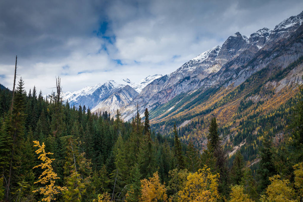 A kanadai Sziklás-hegység, Brit Columbia ősz - Fotó, kép
