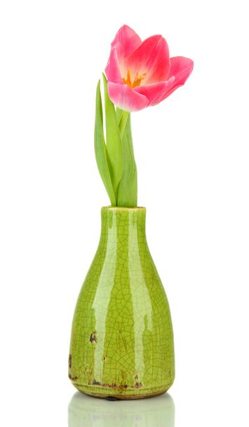 Pink tulip in bright vase, isolated on white - Photo, image