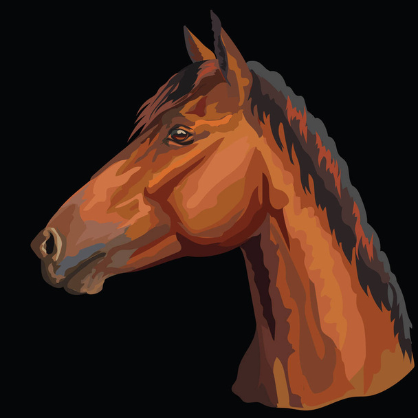 Colorful portrait of bay horse. Horse head  in profile isolated vector hand drawing illustration on black background - Vector, Image