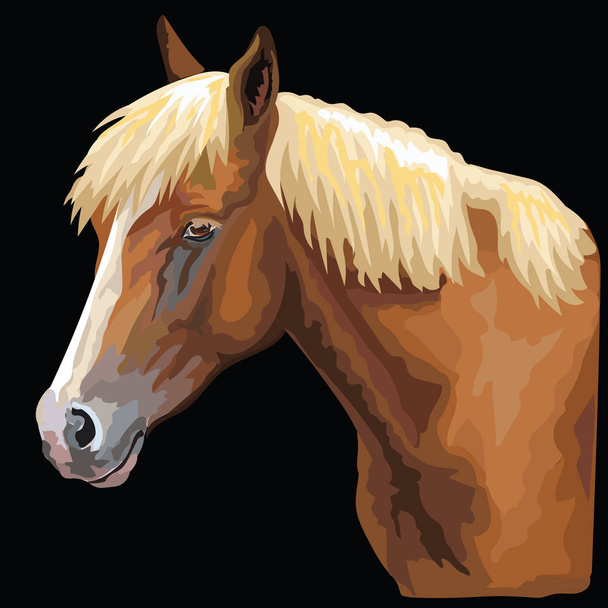 Värikäs muotokuva hevosesta. Hevosen pää profiilin eristetyssä vektorikäden piirustuksessa kuva mustalla pohjalla
 - Vektori, kuva