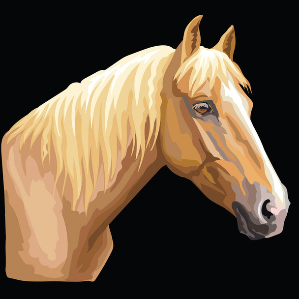 Colorful portrait of Palomino horse. Horse head  in profile isolated vector hand drawing illustration on black background - Vector, Image