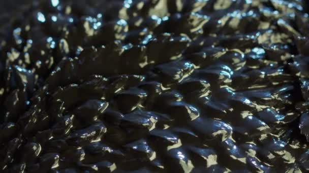 Ferrofluid Background Elements - Footage, Video