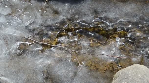 mrożone strumienia przepływu lodu odbicie promieni słonecznych zimą - Materiał filmowy, wideo