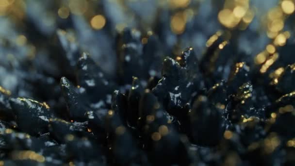 Ferrofluid tła elementów - Materiał filmowy, wideo