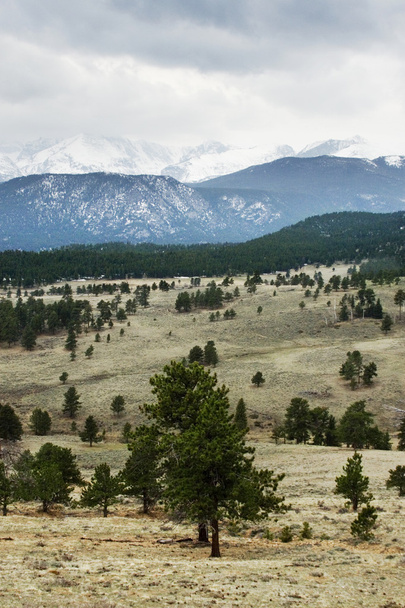 Rocky mountains landschap - Foto, afbeelding