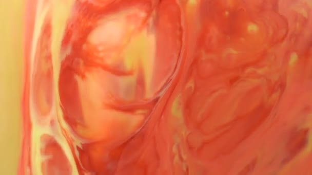 Orange Red Stream abstraktní potravinářské barvy inkoustu pohyblivé nebo tekoucí pozadí. Abstraktní, barevné potraviny barvu inkoustu rozpouštění na povrchu mléka pro umělecké koncepce pozadí. 4 k 3840 × 2160 záběry s vysokým rozlišením pro design - Záběry, video