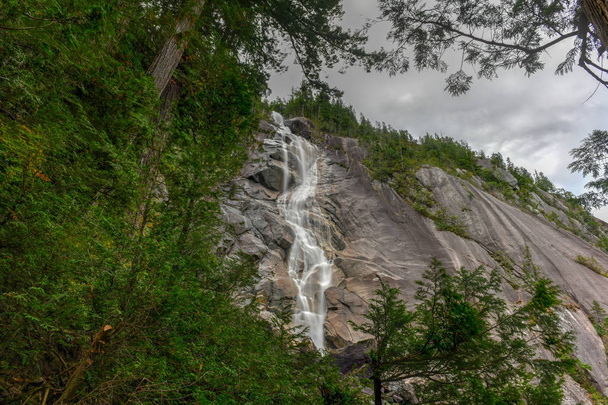 Shannon Falls, la tercera cascada más alta de Columbia Británica, Canadá, donde el agua cae desde una altura de 335 metros
 - Foto, imagen