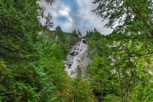 Shannon Falls, la terza cascata più alta della Columbia Britannica, Canada, dove l'acqua cade da un'altezza di 335 metri
 - Foto, immagini