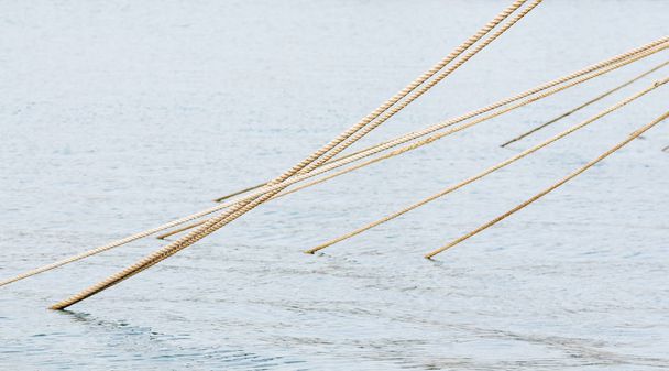Cordes d'amarrage étirées sortant de la surface de l'eau de mer
 - Photo, image