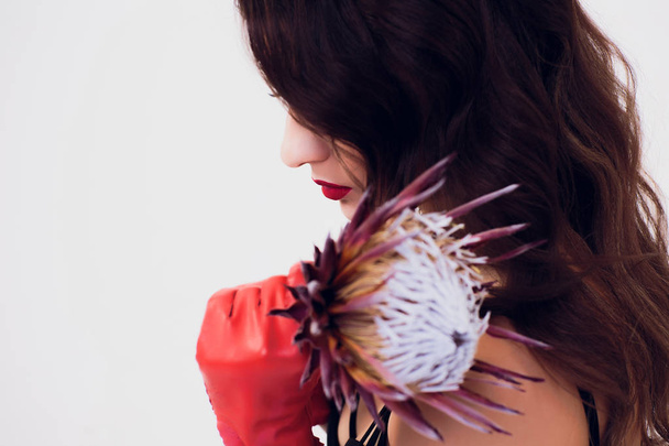 Mulher bonita segurando flor de protea no quarto branco Luvas de seda vermelhas retro, vestido escuro, mulher com cabelo encaracolado, menina morena no fundo branco
 - Foto, Imagem