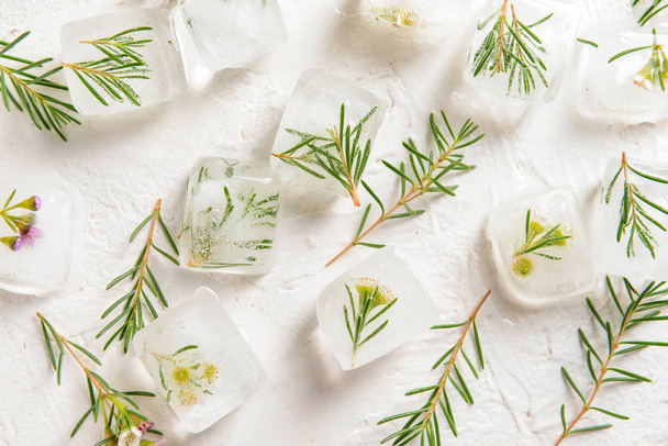 Plants frozen in ice cubes on white background - Foto, Imagem