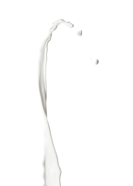 Splash of milk on white background - Fotografie, Obrázek