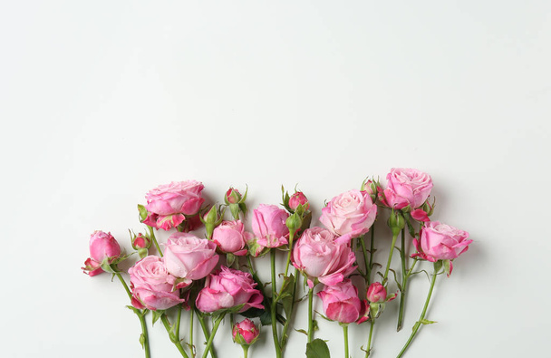 Красиві рожеві троянди на білому тлі
 - Фото, зображення