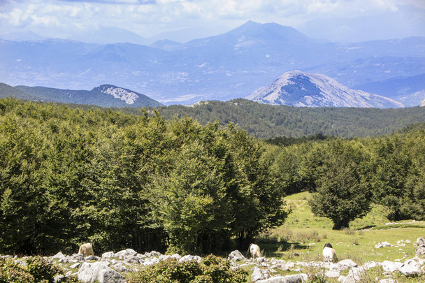 Paisagem do Parque Nacional do Pollino, uma ampla reserva natural em Basilicata e Calábria, regiões italianas
 - Foto, Imagem