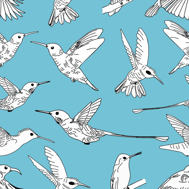 Flying hummingbird seamless pattern vector illustration isolated on blue background - Vettoriali, immagini