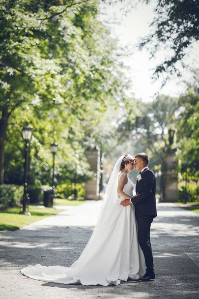 Beautiful wedding couple - Valokuva, kuva
