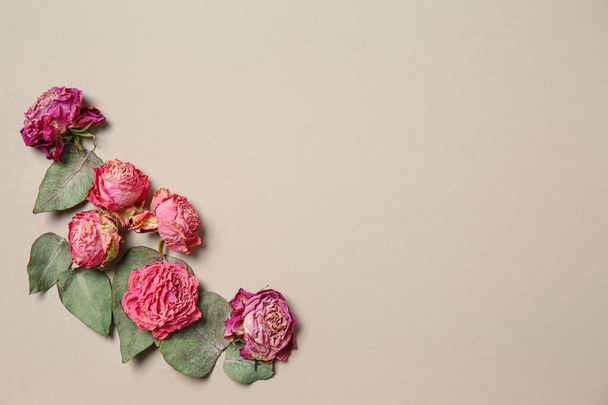 Красивые сухие розы на светлом фоне
 - Фото, изображение