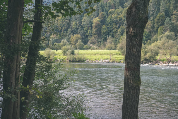 Río de agua verde detrás de los árboles en verano. Dunajec, Eslovaquia
  - Foto, Imagen